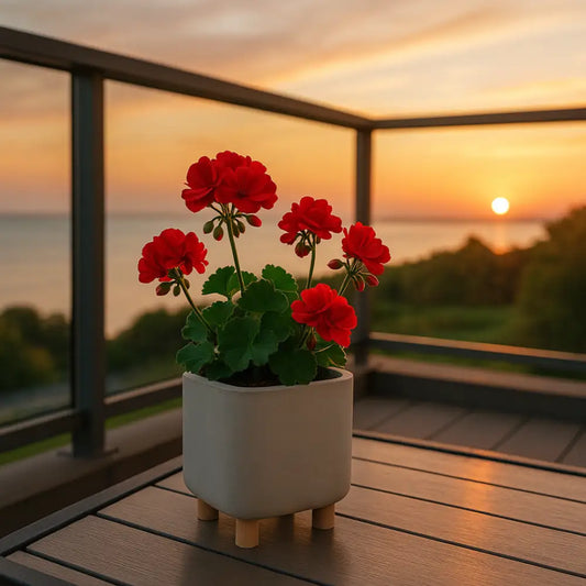 Petit pot de fleur carré