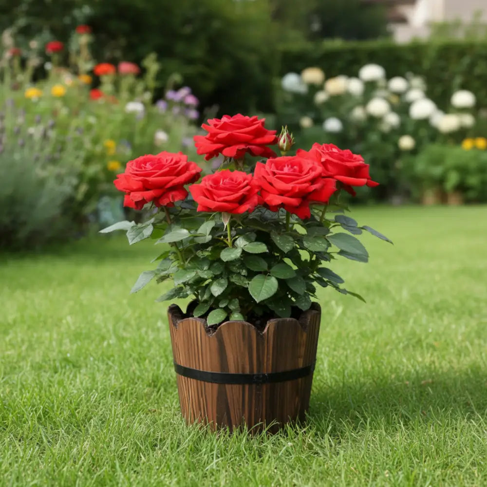 Petit pot de fleur en bois