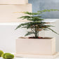 Petit pot de fleur rectangulaire