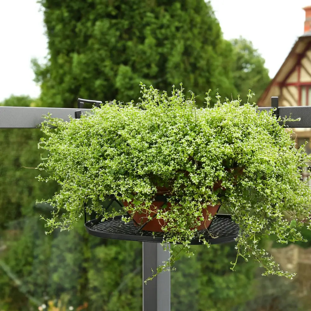 Porte plante balcon