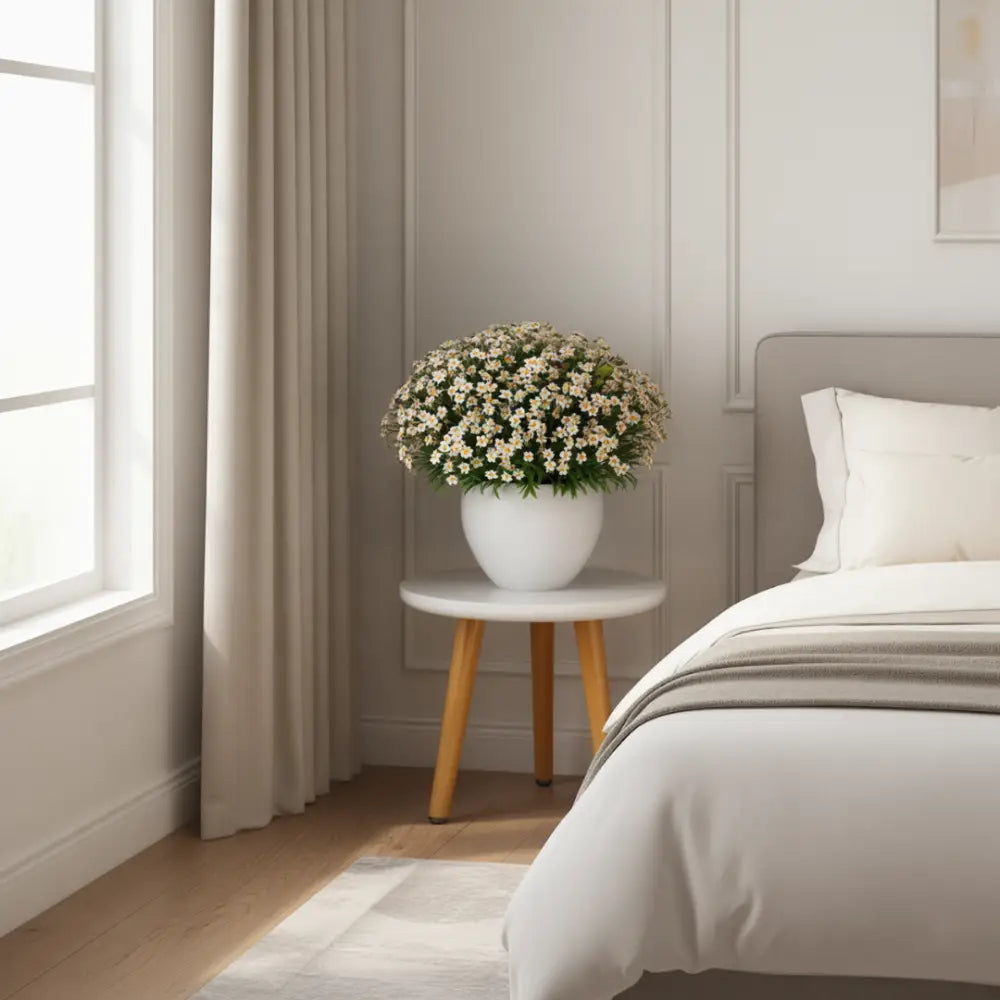 Porte plante intérieur pas cher