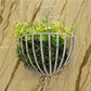 Porte plante mural Blanc