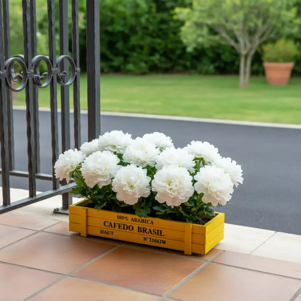 Pot de fleur bois terrasse