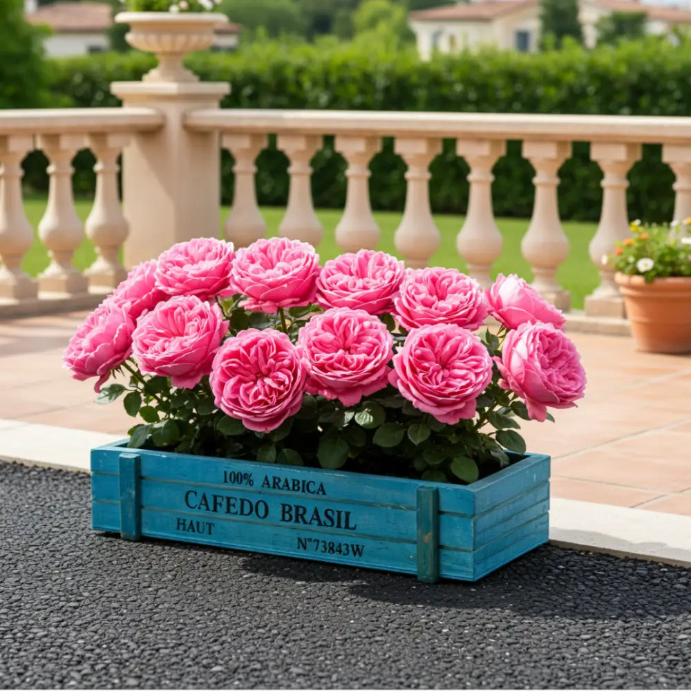 Pot de fleur bois terrasse