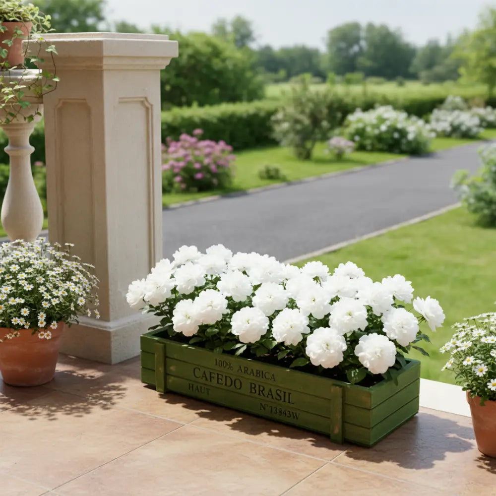 Pot de fleur bois terrasse