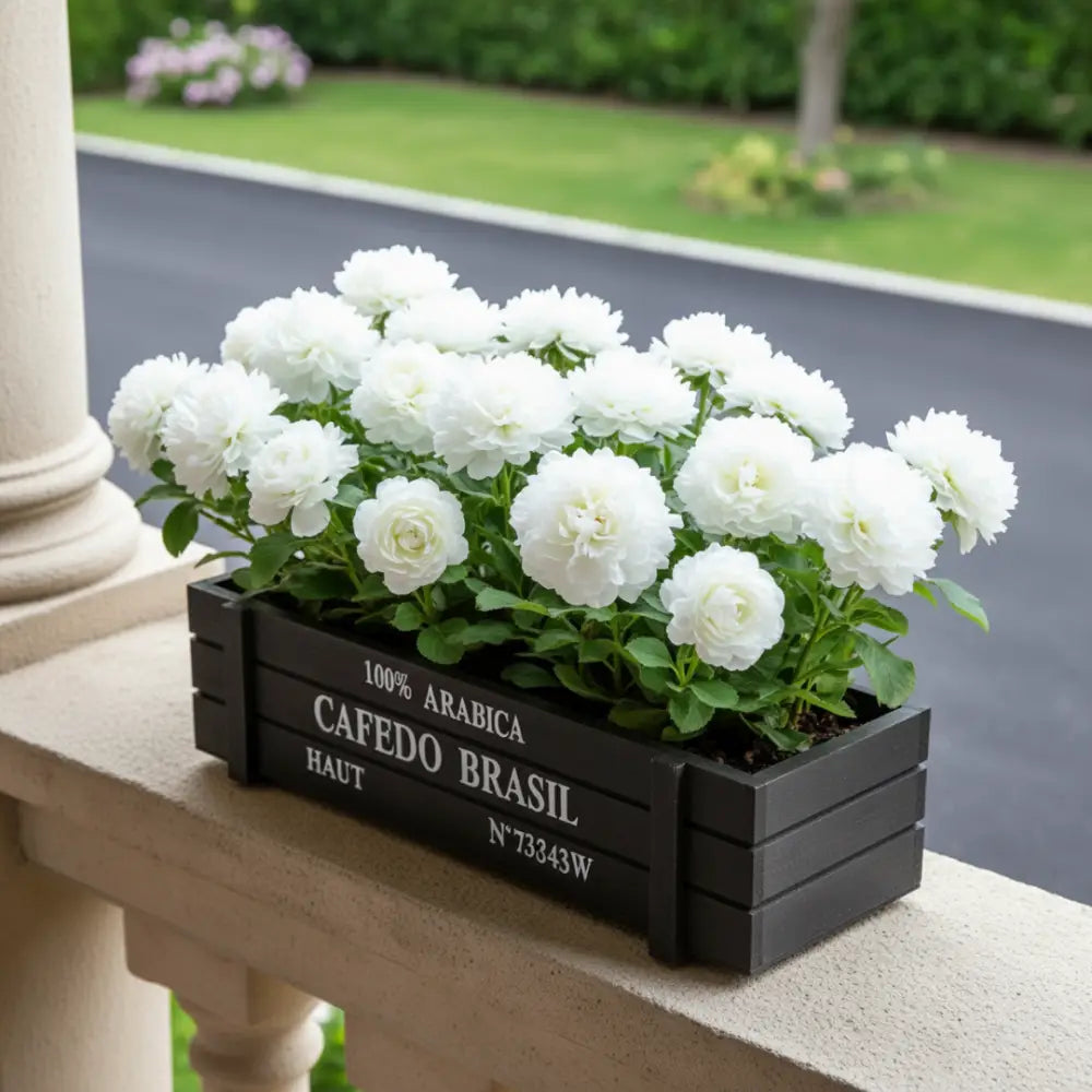 Pot de fleur bois terrasse