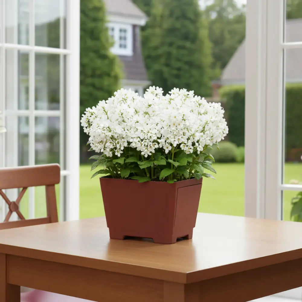 Pot de fleur carré en résine - Palissandre