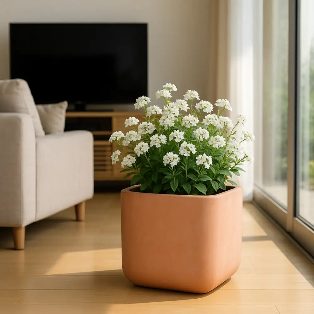 Pot de fleur carré grande taille