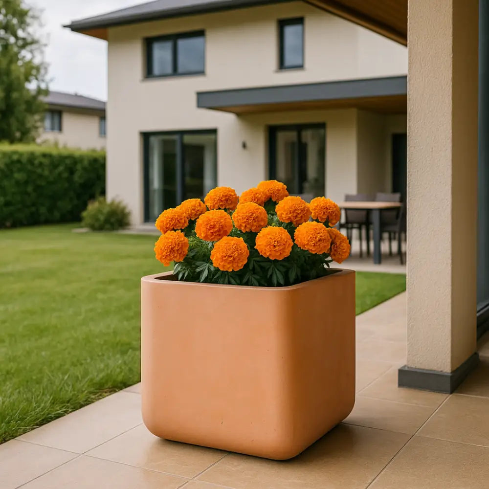 Pot de fleur carré grande taille