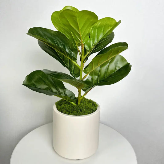 Yangbaga 4 Pcs Pot de Fleur en Céramique avec Plateau en Bambou et Mignons Décor émoticône, Pot de Succulent Jolie Déco pour Maison Etagere Bureau Jardin Salon Yangbaga 4 Pcs Pot de Fleur en Céramique avec Plateau en Bambou et Mignons Décor émoticône, Pot de Succulent Jolie Déco pour Maison Etagere Bureau Jardin Salon