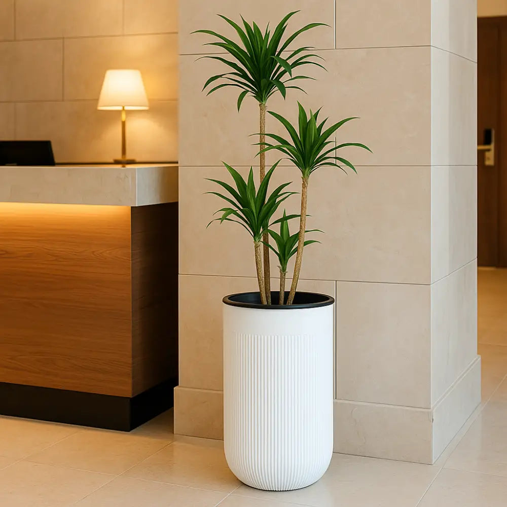 Pot de fleur cylindrique plastique