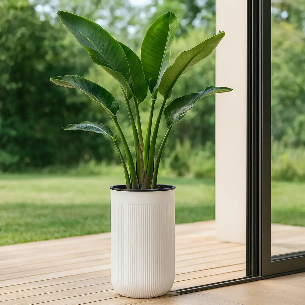 Pot de fleur cylindrique plastique