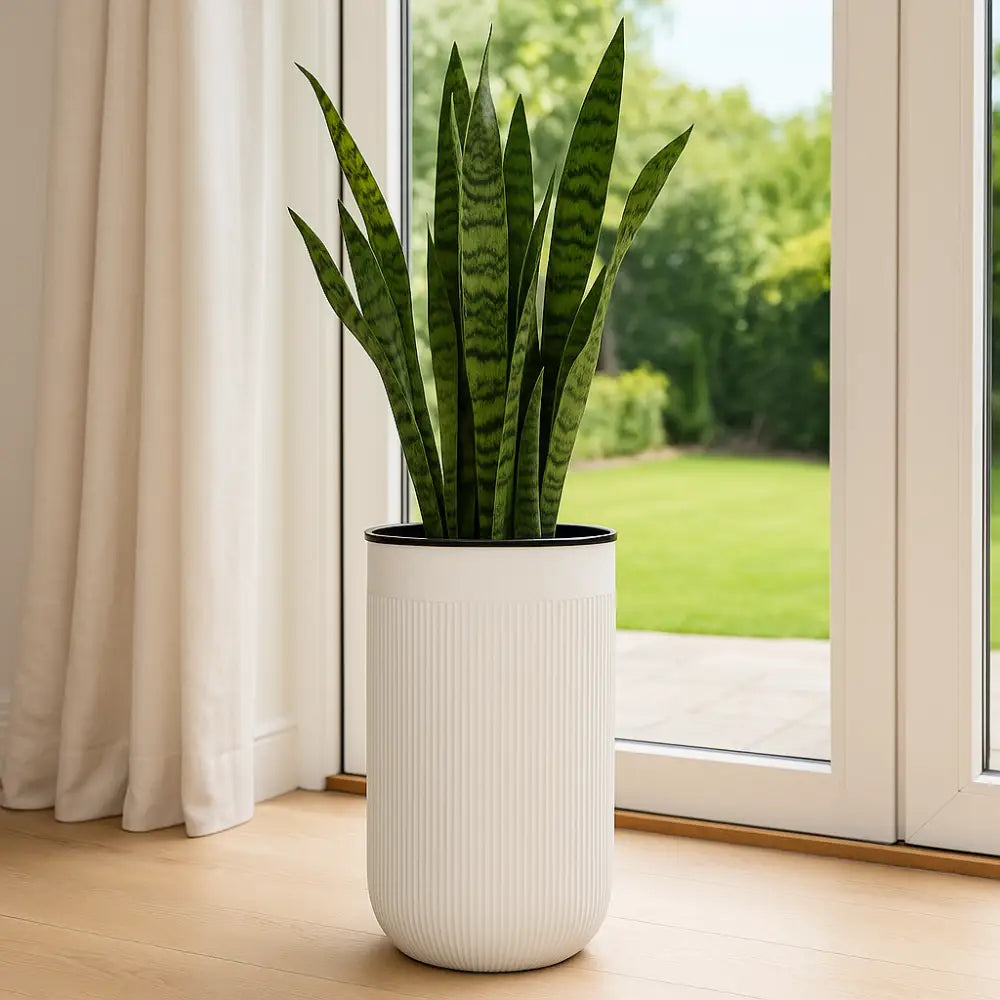 Pot de fleur cylindrique plastique