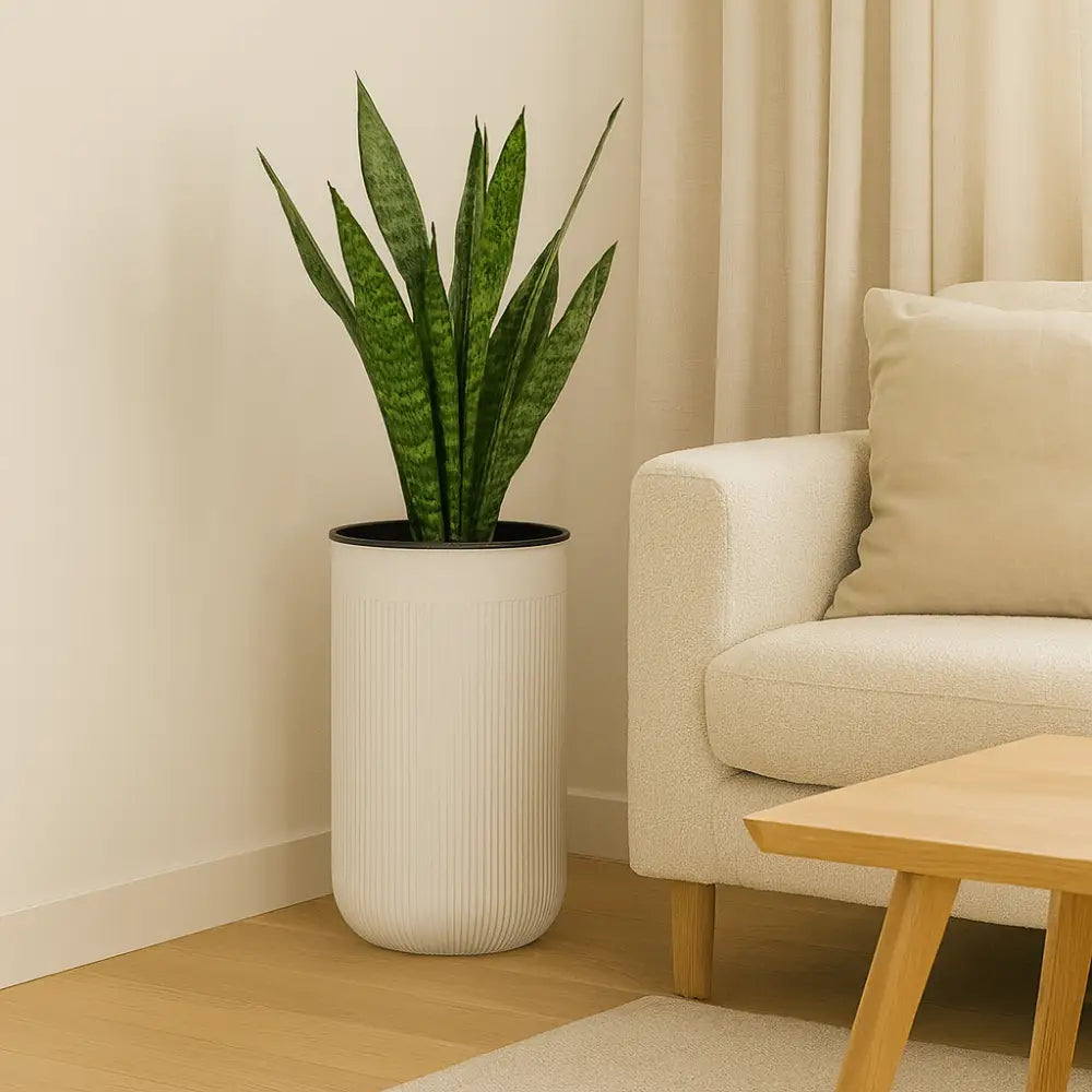 Pot de fleur cylindrique plastique