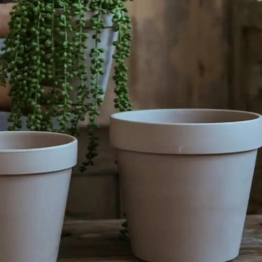 Pot de fleur en terre cuite gris
