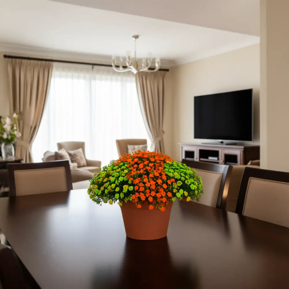 Pot de fleur en terre cuite pas cher