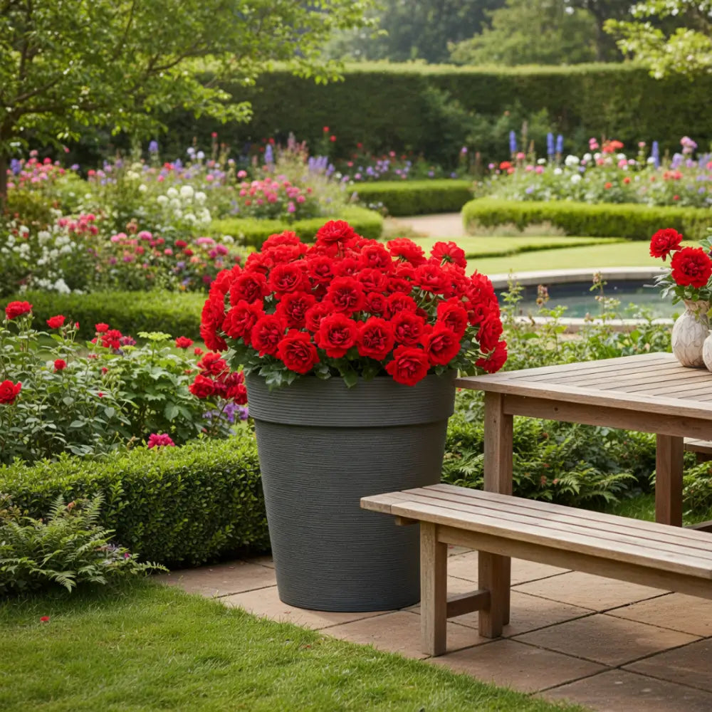 Pot de fleur extérieur xxl plastique