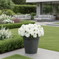 Pot de fleur extérieur xxl plastique - Noire de roche