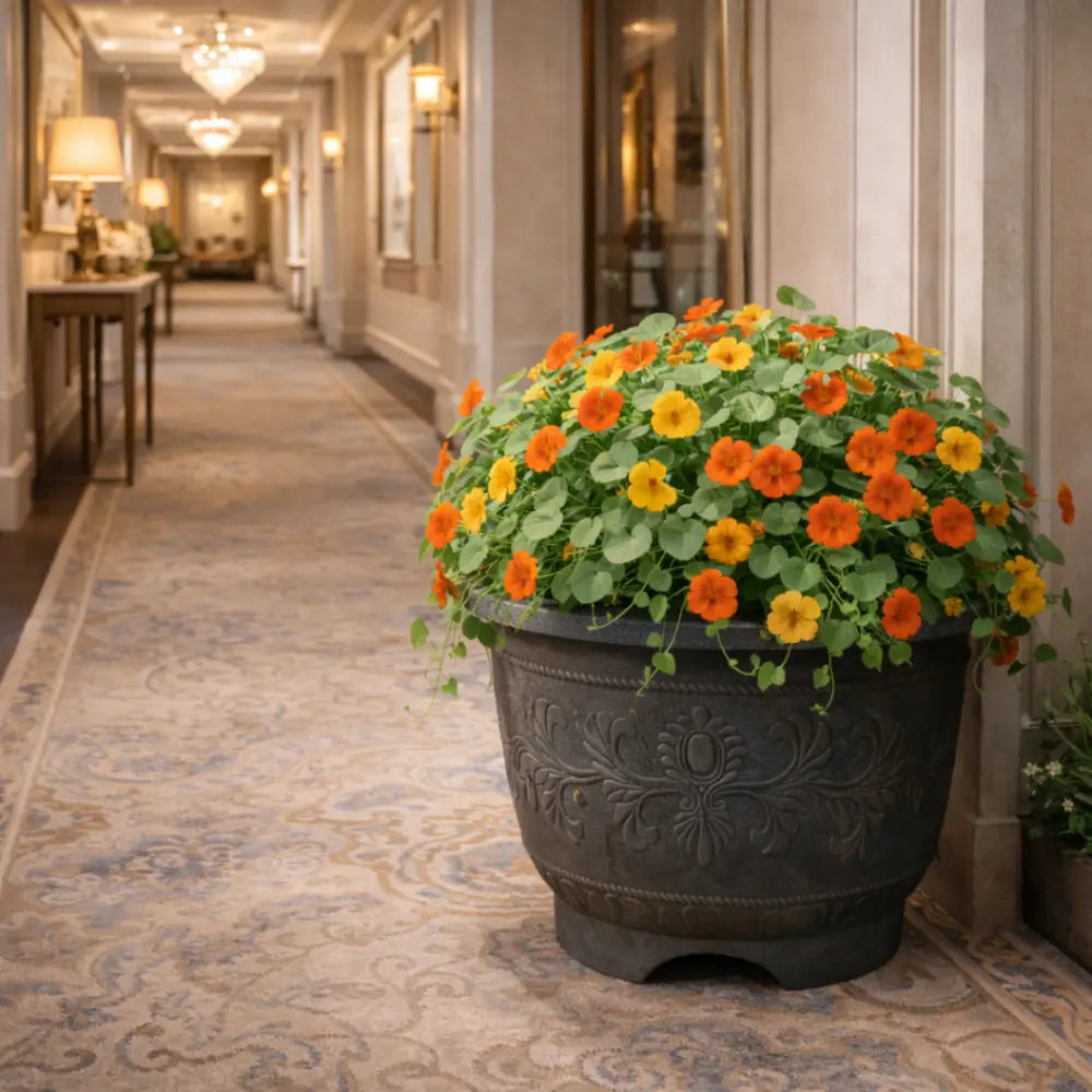 Pot de fleur géant plastique