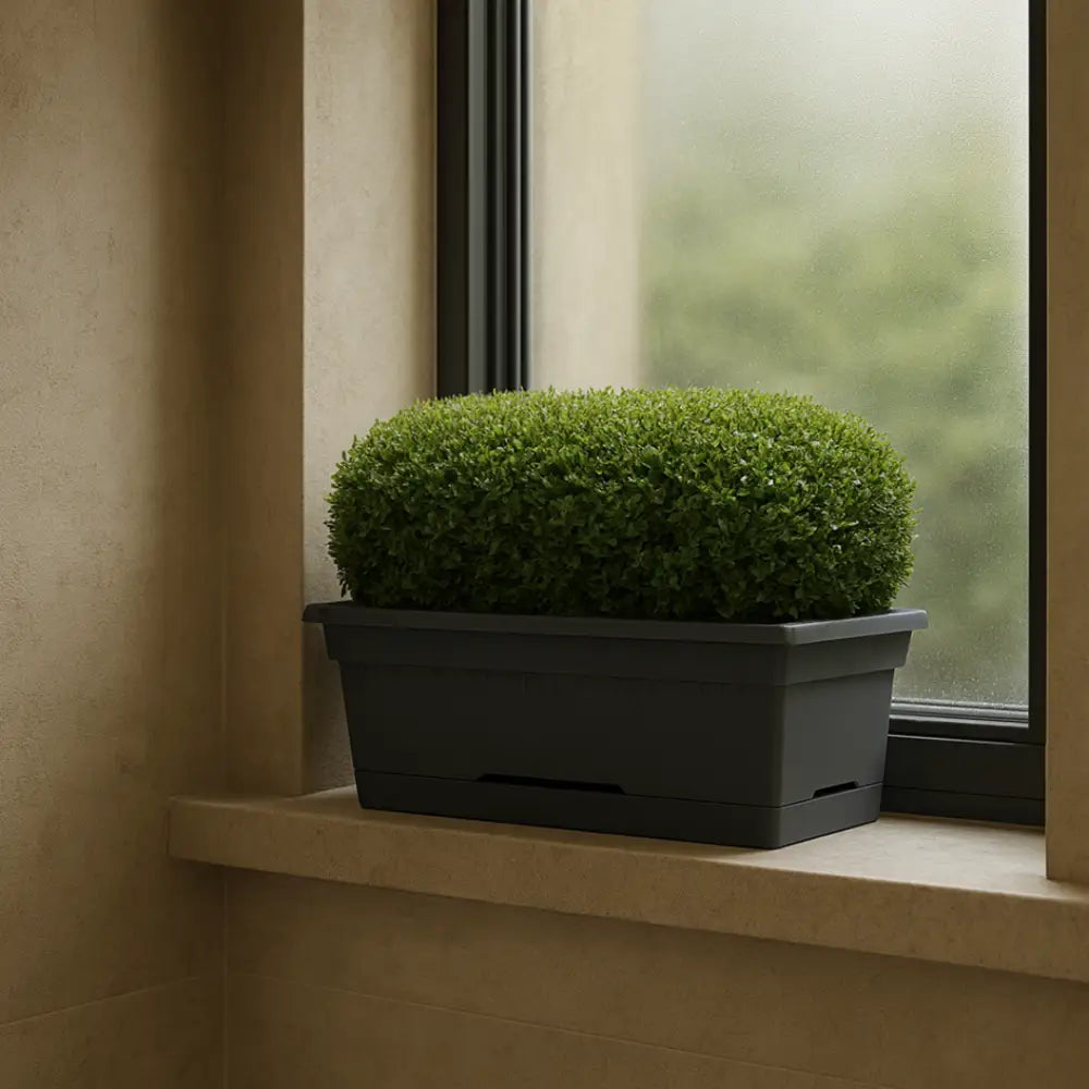 Pot de fleur gris anthracite rectangulaire