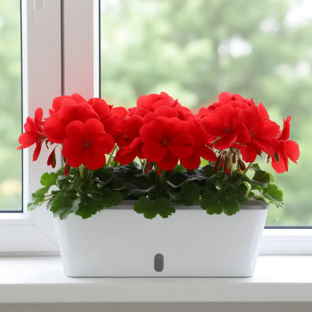 Pot de fleur interieur rectangulaire