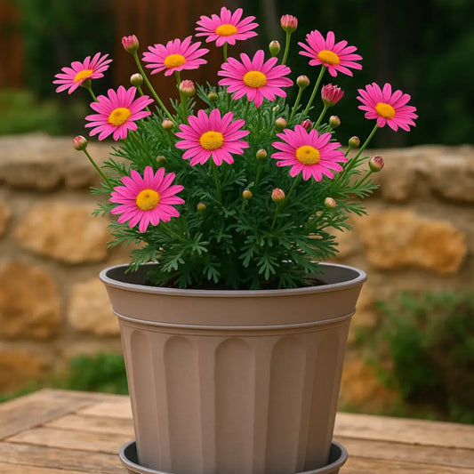 Pot de fleur marron plastique