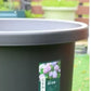 Pot de fleur plastique diamètre 50 cm
