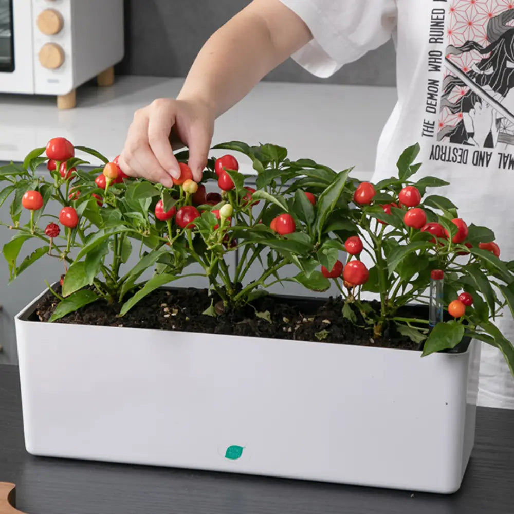 Pot de fleur plastique rectangulaire