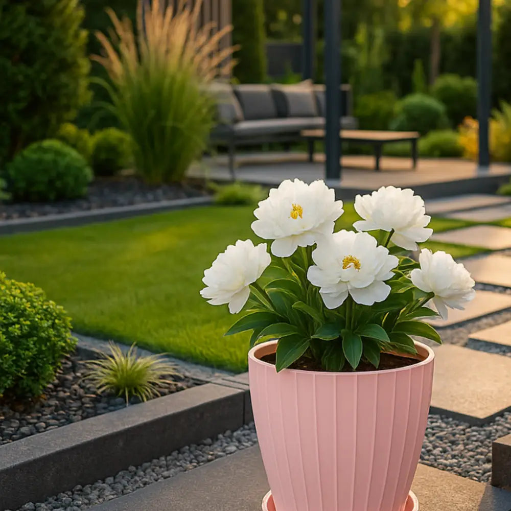 Pot de fleur plastique rose