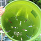 Pot de fleur plastique vert anis