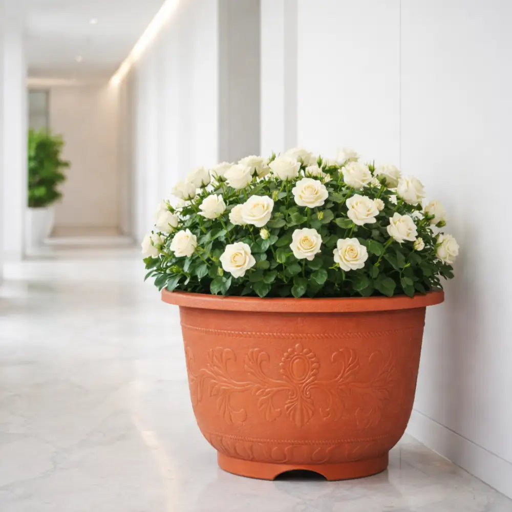 Pot de fleur plastique xxl