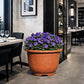 Pot de fleur plastique xxl