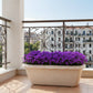 Pot de fleur rectangulaire balcon
