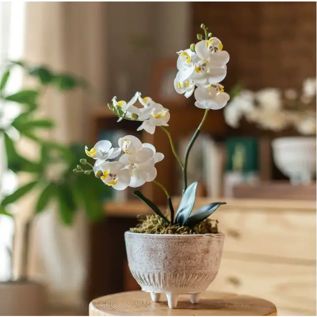 Pot de fleur sur pied pas cher