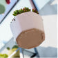 Pot de fleur suspendu couleur
