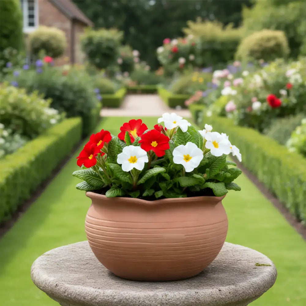 Pot de fleur terre cuite 15 cm