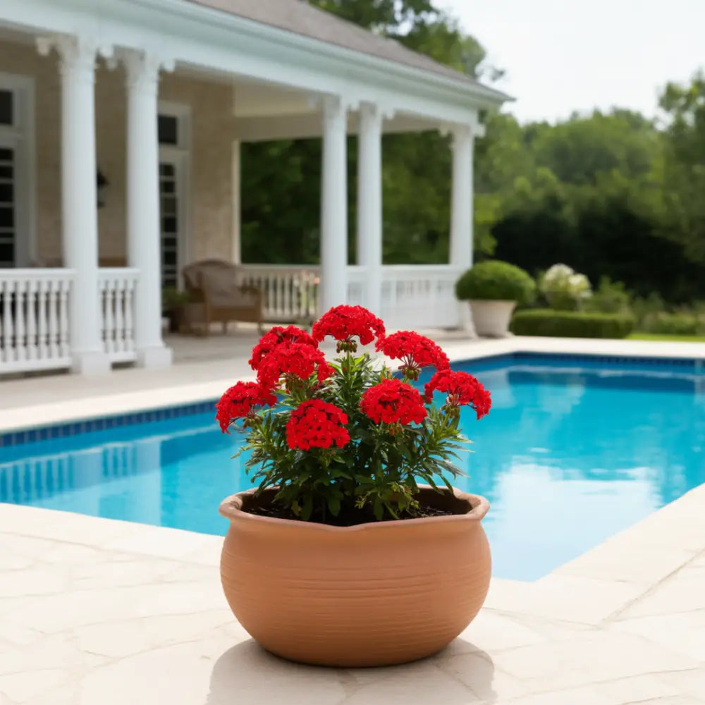 Pot de fleur terre cuite 15 cm