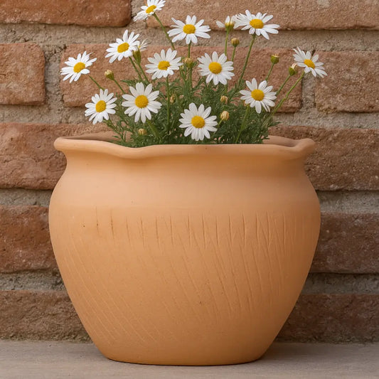 Pot de fleur terre cuite diamètre 20