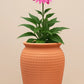 Pot de fleur terre cuite grande taille