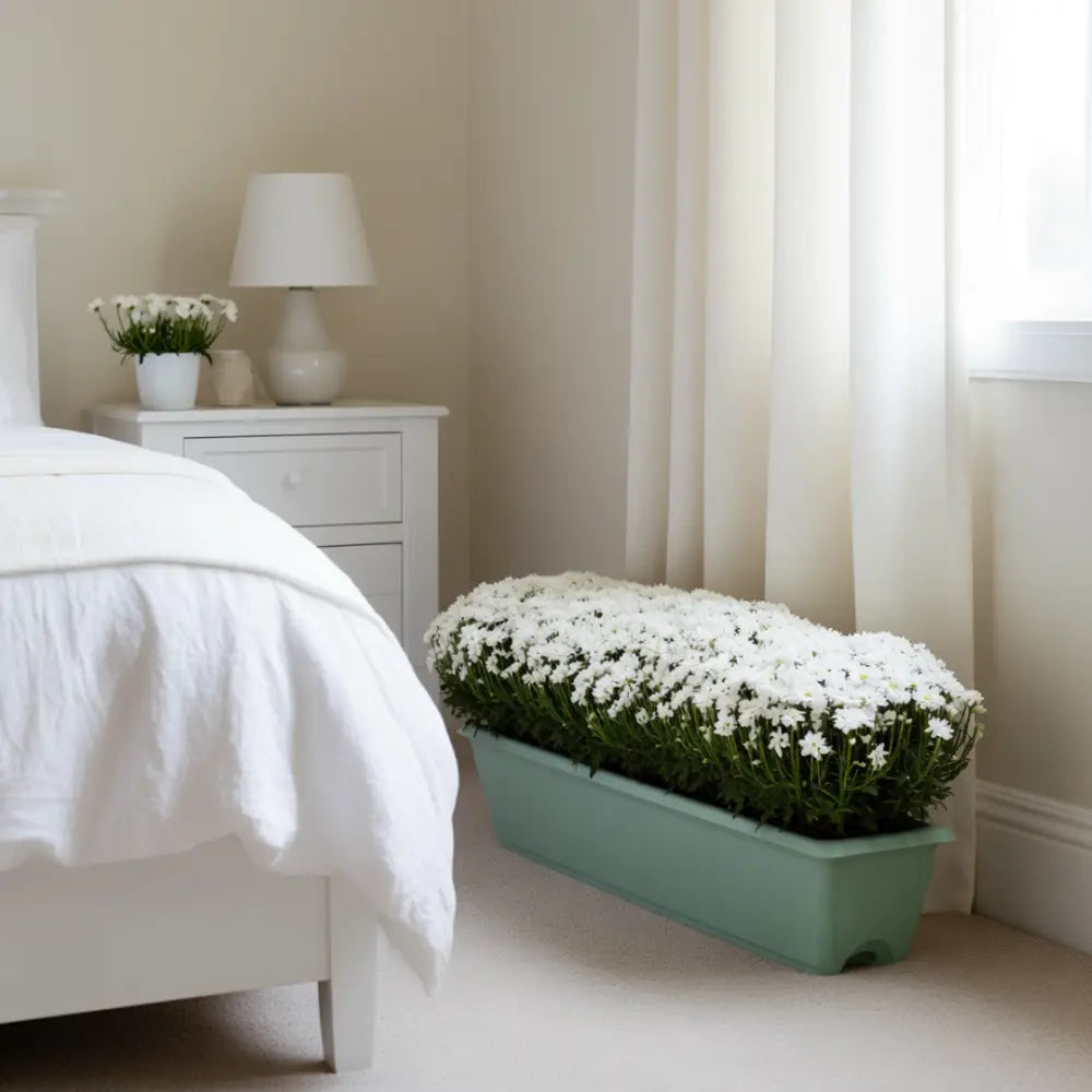 Pot de fleur vert rectangulaire