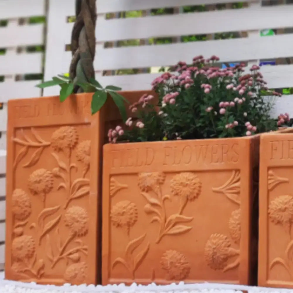 Pot de fleurs carrés en terre cuite design