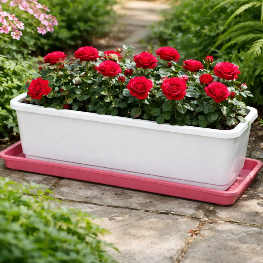 Soucoupe jardinière rectangulaire 40 cm