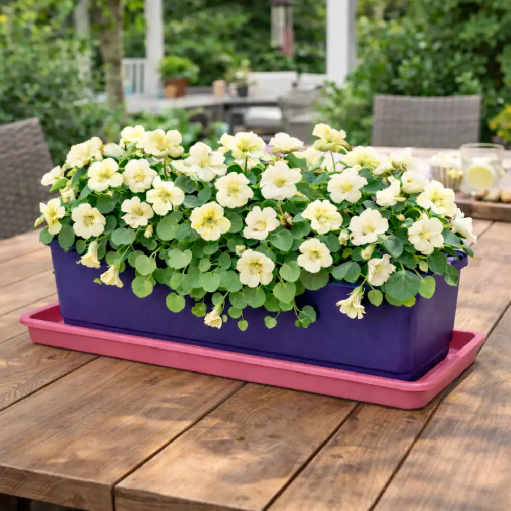 Soucoupe jardinière rectangulaire 40 cm