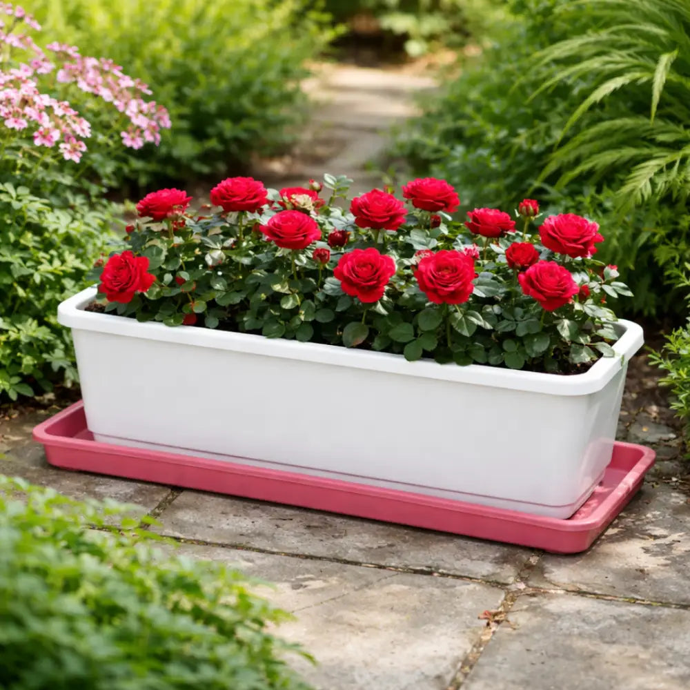 Soucoupe jardinière rectangulaire 40 cm