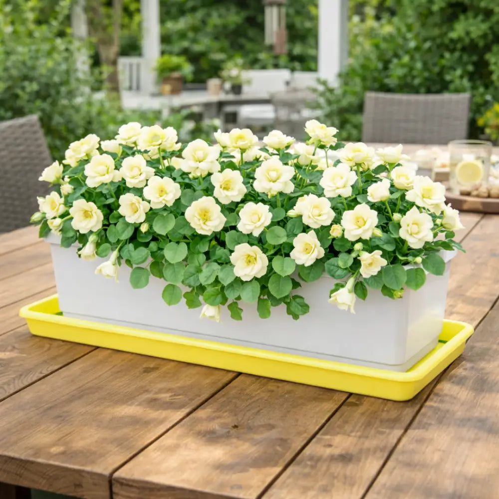 Soucoupe jardinière rectangulaire 40 cm - Jaune
