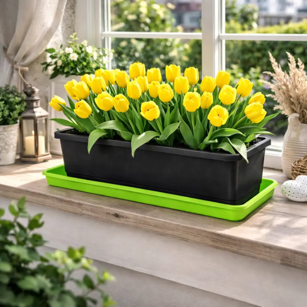 Soucoupe jardinière rectangulaire 40 cm - Vert