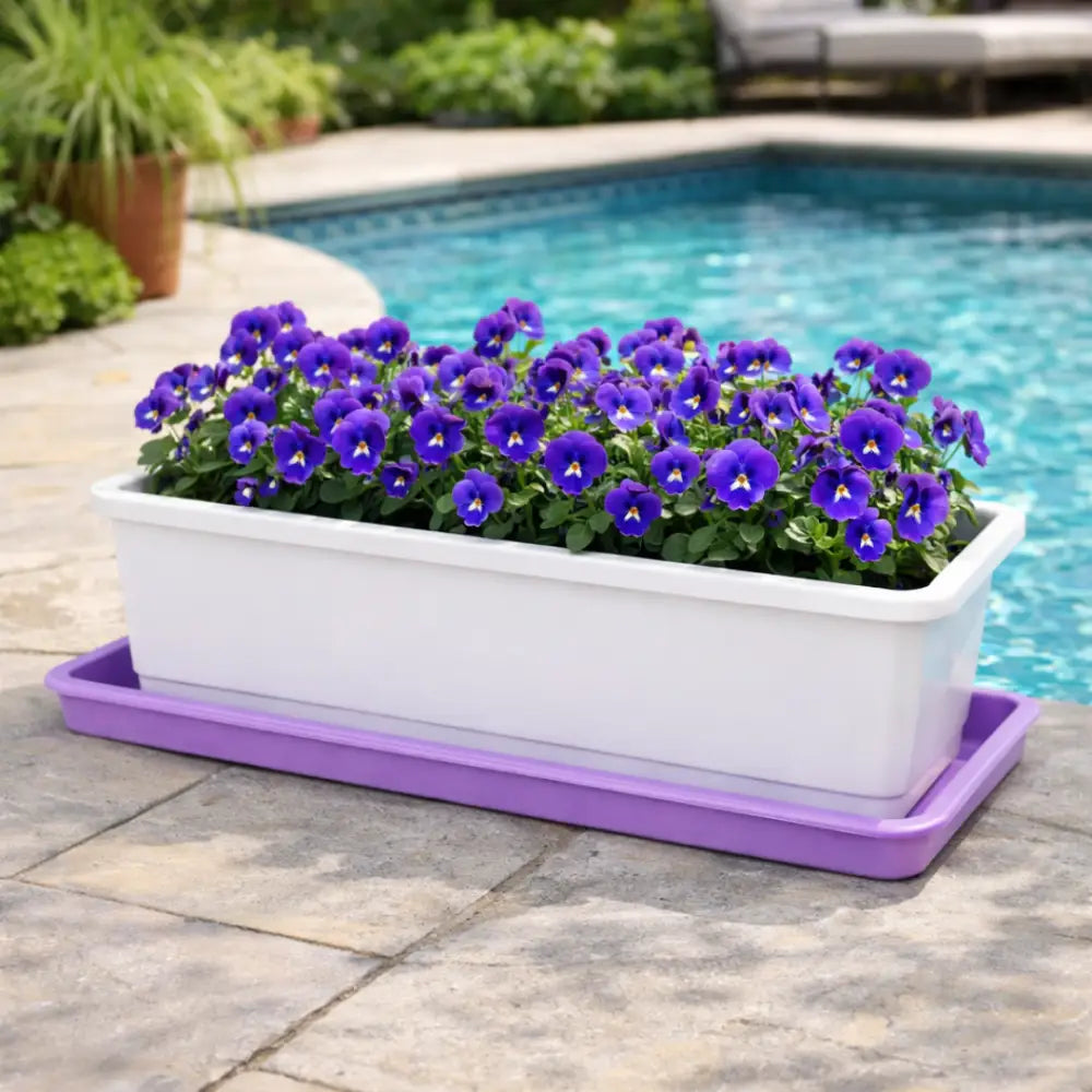 Soucoupe jardinière rectangulaire 40 cm - Violet