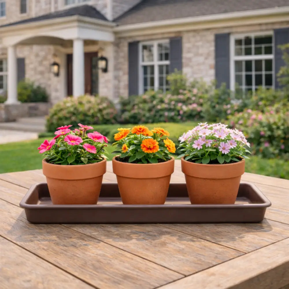 Soucoupe jardinière rectangulaire 60 cm