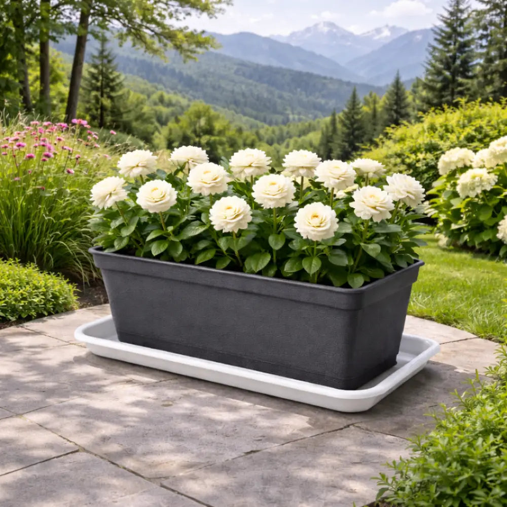 Soucoupe jardinière rectangulaire 70 cm