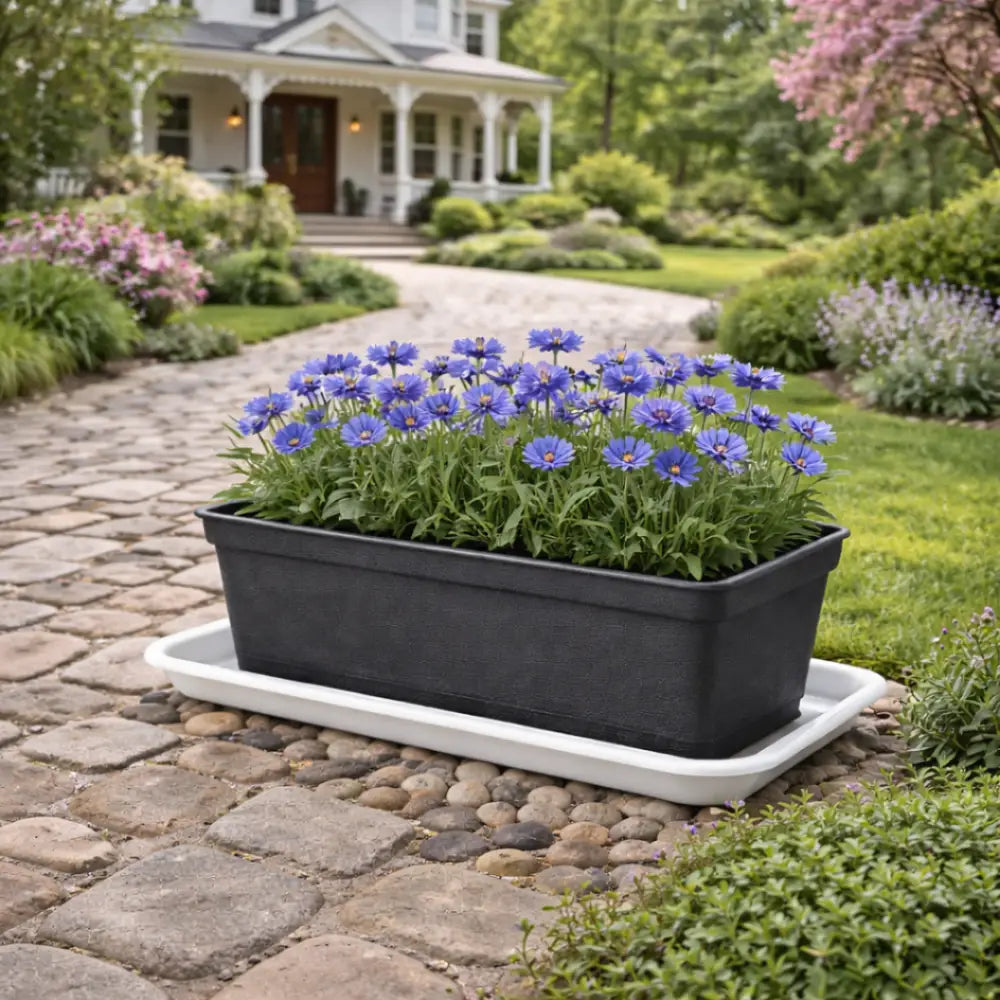 Soucoupe jardinière rectangulaire 70 cm